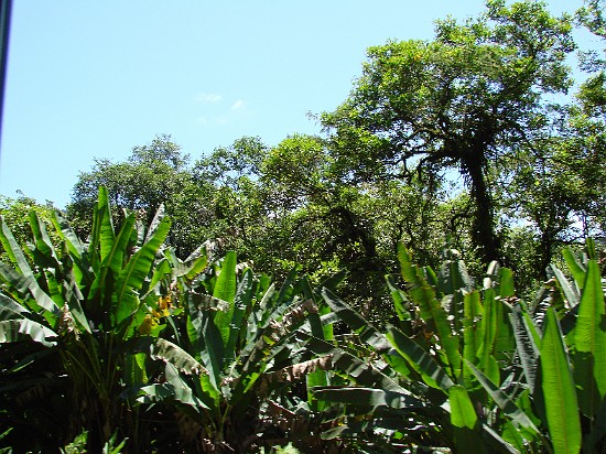 Ruta graciosa 2.jpg